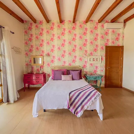 Volcan2 Rural Private Pool By Holidays Villa